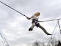 Bungee Trampolin inkl. 19% MwSt. - Galerie - Bild 2