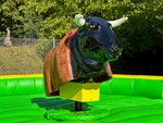 Bullriding & Rodeo