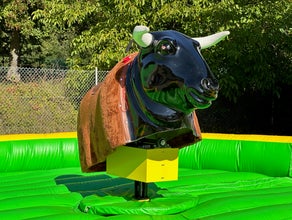 Bullriding & Rodeo