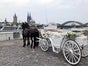 Neue Premium Hochzeitskutsche - weiße Kutsche mit Doppeldach und weißem Echtleder - gezogen von edlen Friesenpferden www.hochzeitskutsche-conrads.de - Galerie - Bild 3