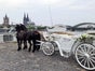 Neue Premium Hochzeitskutsche - weiße Kutsche mit Doppeldach und weißem Echtleder - gezogen von edlen Friesenpferden www.hochzeitskutsche-conrads.de - Galerie - Bild 3