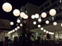 Lampions weiß - Galerie - Bild 2