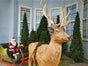 Hirsch , Waldtier, Weihnachtsdekoration, Weihnachten, Weihnachtsmarkt - Galerie - Bild 2