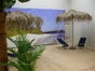 Strandschirm - Palmenschirm - Karibikschirm - Galerie - Bild 3