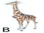 Giraffen Figur, Giraffe, Tier, Wildtier, Tierfigur, Afrika, Savanne - Galerie - Bild 2