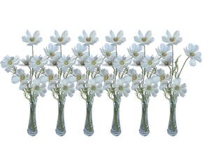 Schmuckkörbchen weiss 6er Set