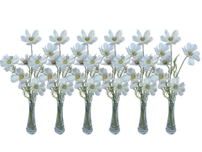 Schmuckkörbchen weiss 6er Set