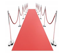 Roter Teppich / VIP Empfang / Red Carpet