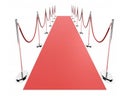 Roter Teppich / VIP Empfang / Red Carpet