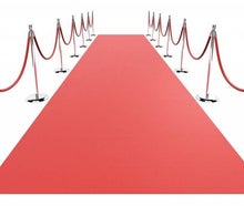 Roter Teppich / VIP Empfang / Red Carpet