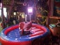 Western Bullriding - Galerie - Bild 4