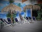 Strandschirm - Palmenschirm - Karibikschirm - Galerie - Bild 3