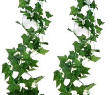 Efeuranke matt mieten – Blumen & Dekoration