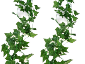 Efeuranke matt mieten – Blumen & Dekoration