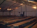 Festzeltgarnitur - Galerie - Bild 1