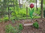 Tulpen XXL Riesenblumen, Blumen - Galerie - Bild 4