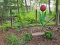 Tulpen XXL Riesenblumen, Blumen - Galerie - Bild 4