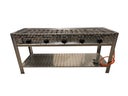 Profi Gasgrill  5 flammig / Gasgrill - Galerie - Bild 1