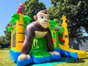 Hüpfburg Multiplay Dschungel + Lieferung möglich