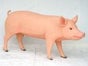 Schwein Figuren, Ferkel, Bauenhof, Tier, Nutztier - Galerie - Bild 3