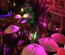 Cafe Seeterrassen
