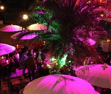 Cafe Seeterrassen