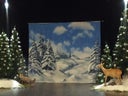 Weihnachts Bühnenbilder