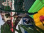 Crazy Jungle 3in1  Spielmobil, Kletterwand, Ninja-Freefall-Jump for Kids - Galerie - Bild 4