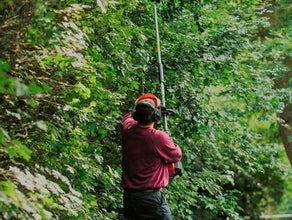 Astsäge / Hochentaster, bis 4 m Arbeitshöhe, Akku, 50,4 V