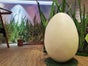 Bühnenbild Gras - Frühlings- Dekoration - Galerie - Bild 2