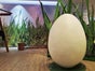 Bühnenbild Gras - Frühlings- Dekoration - Galerie - Bild 2