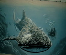 Wal Unterwasser Bühnenbild