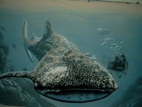 Wal Unterwasser Bühnenbild
