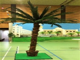 Palmen, Palme, Palmengewächse, Baum, Karibik, Kokos, Kokosnuss
