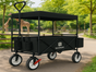 Bollerwagen Mieten - Galerie - Bild 3