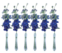 Rittersporn 6er Set