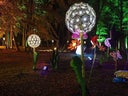 Pusteblume Blume Riesenblume