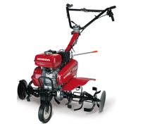 Motorhacke/Gartenfräse