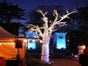 Lichterbaum - LED Baum - Leuchtender Baum - Galerie - Bild 3