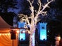 Lichterbaum - LED Baum - Leuchtender Baum - Galerie - Bild 3