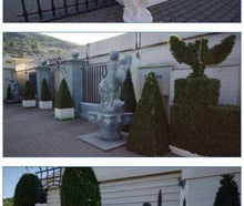 Garten des Buckingham Palace, Palast, Palastgarten, Pfanzen, Figuren