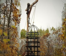 Pranger -  Kerker - Hängekäfig