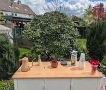 Mobile Matcha Bar mit 50 Matchas inklusive