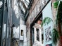 Lila Nashorn - Galerie - Bild 2