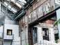 Lila Nashorn - Galerie - Bild 2