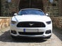 Ford Mustang GT Cabrio - Galerie - Bild 2