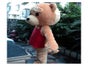 Teddy Kostüm - Galerie - Bild 2