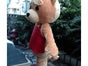Teddy Kostüm - Galerie - Bild 2
