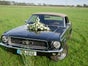 Ford Mustang Cabrio V8 mieten b. Berlin Hochzeitsauto Oldtimer - Galerie - Bild 2