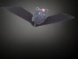 Fledermaus XXL, Halloween Dekoration - Galerie - Bild 4